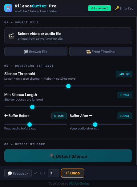 SilenceCutter Pro detection settings panel